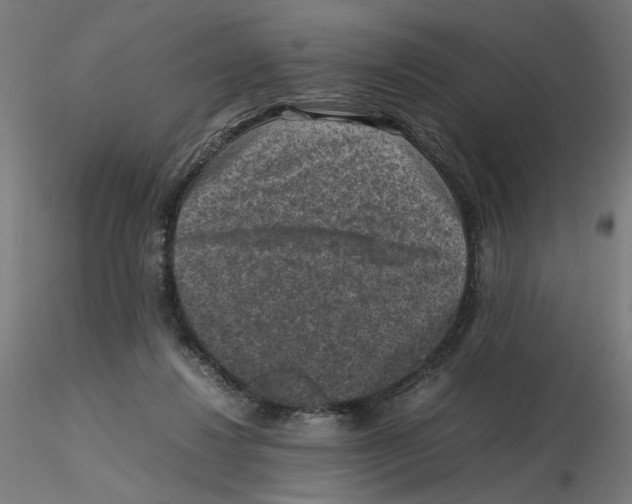 X0000116100260200912211617