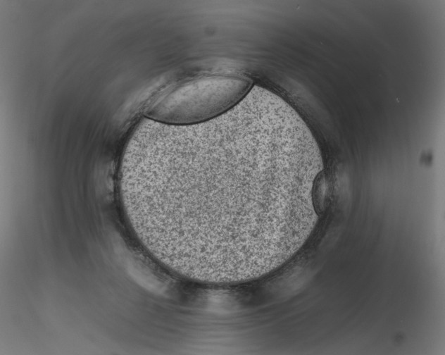 X0000116100264200912211617