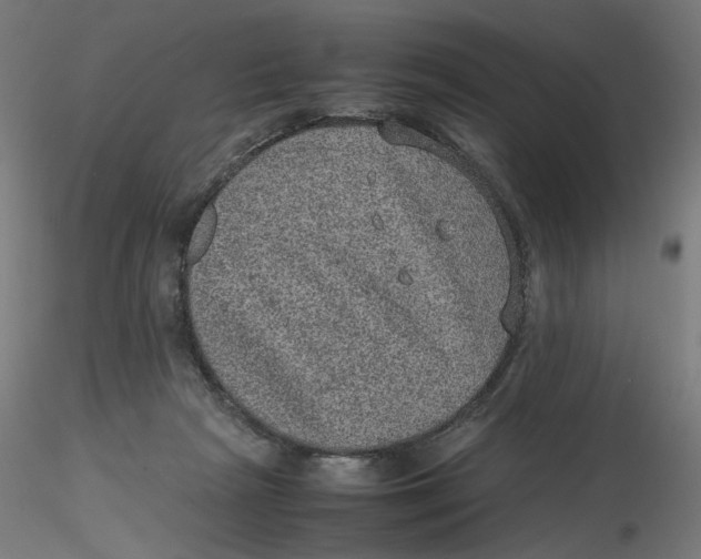 X0000116100265200912211617