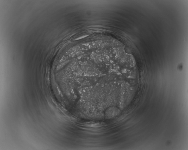 X0000116100267200912211617