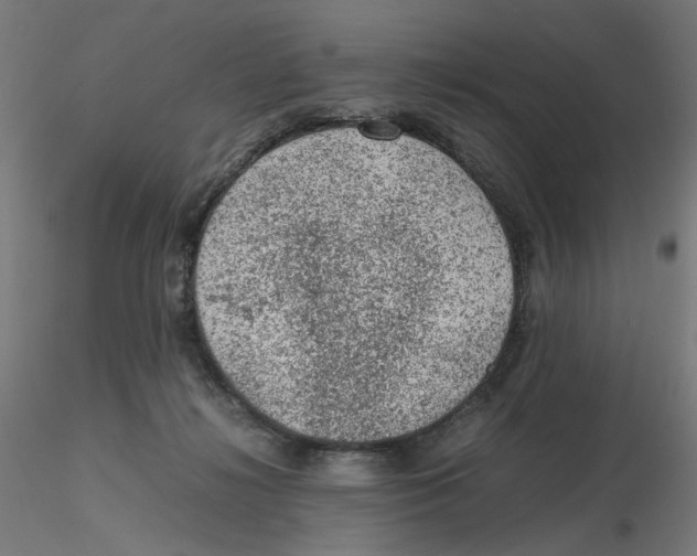 X0000116100268200912211617