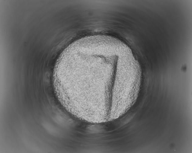 X0000116100269200912211617