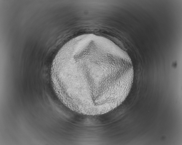 X0000116100270200912211617