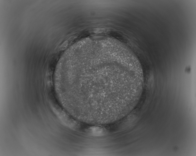 X0000116100272200912211617