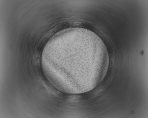 X0000116100274200912211617