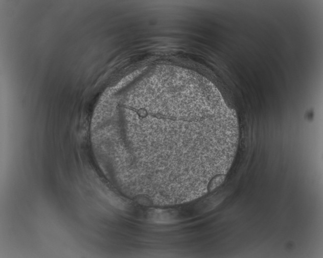 X0000116100277200912211618