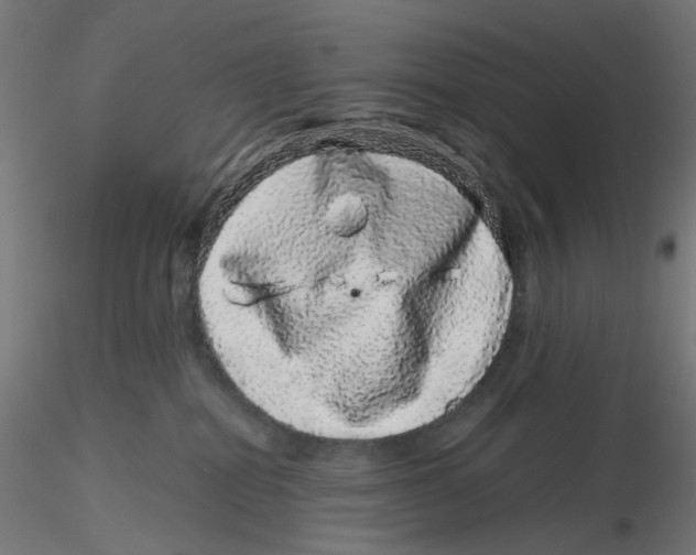 X0000116100282200912211618