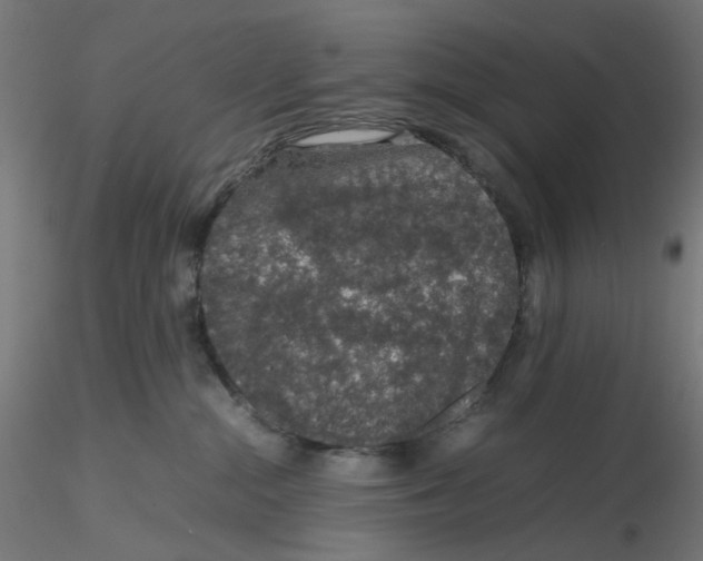 X0000116100284200912211618