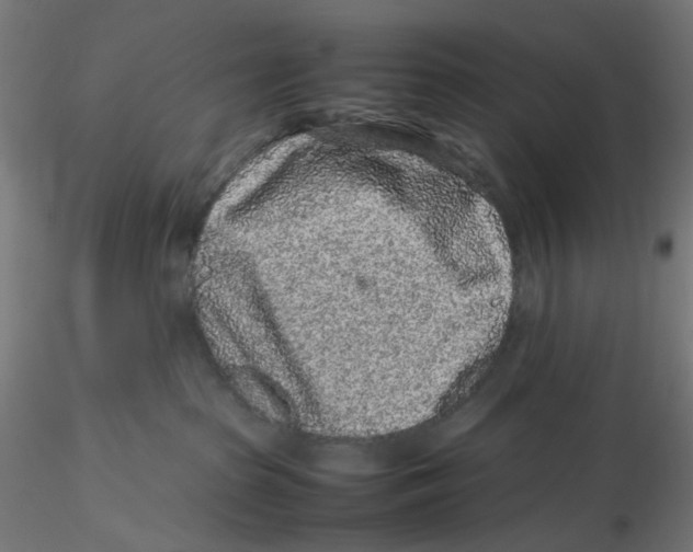 X0000116100285200912211618