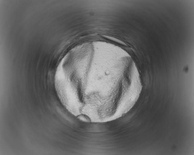 X0000116100286200912211618