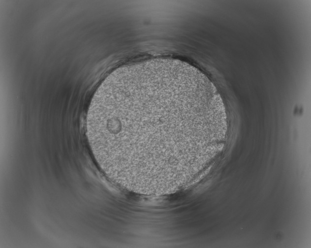 X0000116100288200912211618