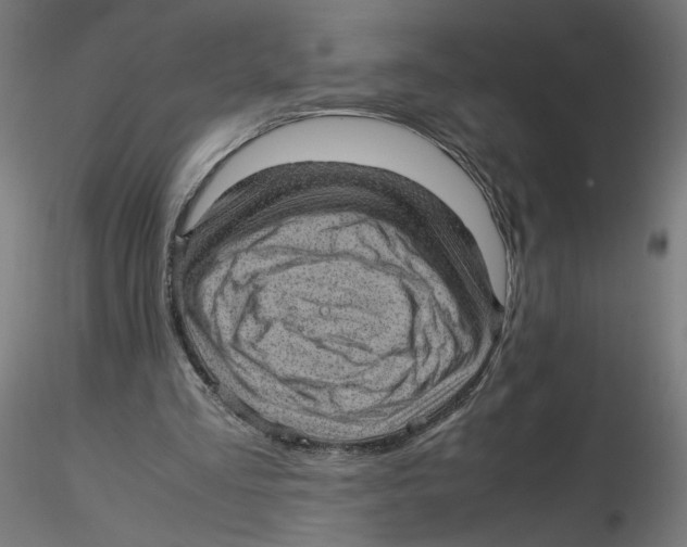 X0000116100293200912211617