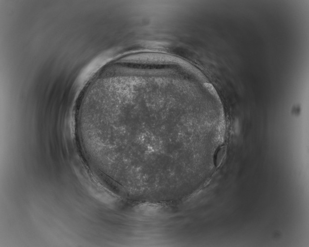 X0000116100294200912211617