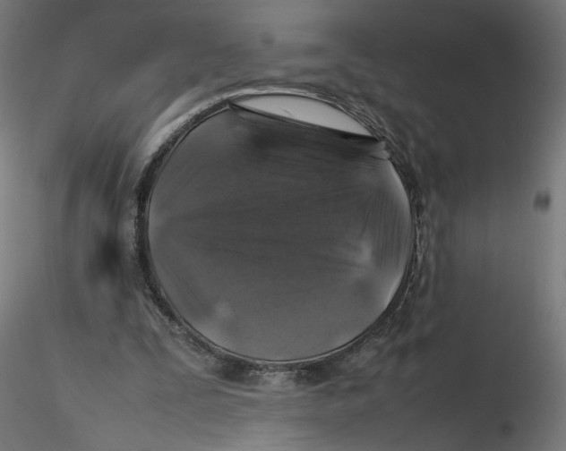 X0000116100295200912211617