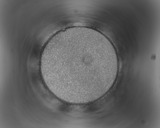 X0000116100297200912211617