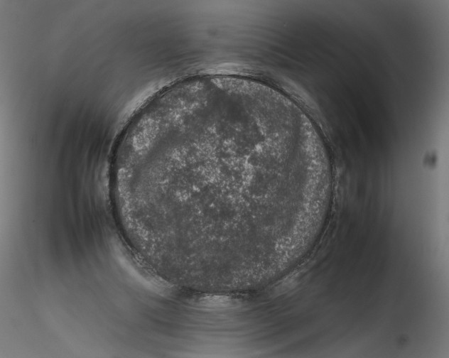 X0000116100298200912211617