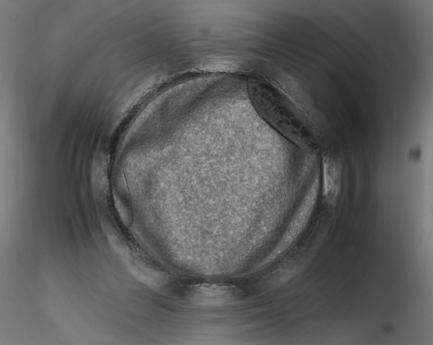 X0000116100300200912211617