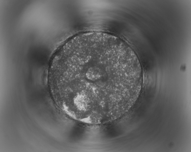 X0000116100301200912211617