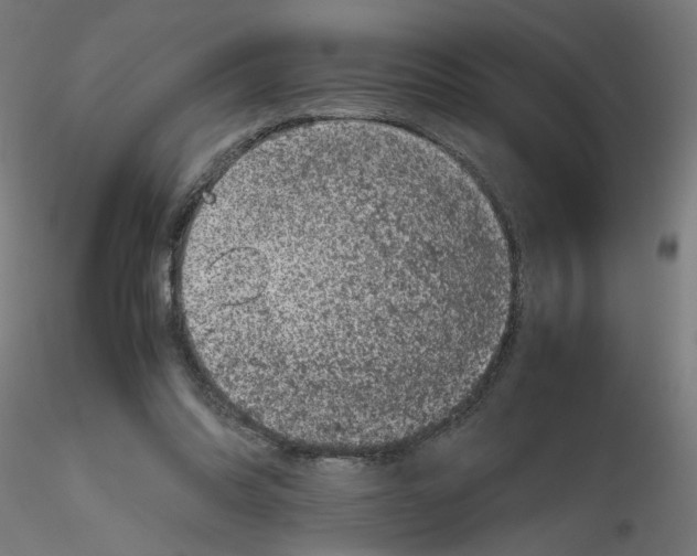 X0000116100302200912211617