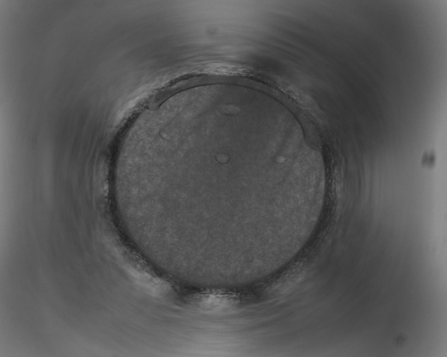 X0000116100303200912211617