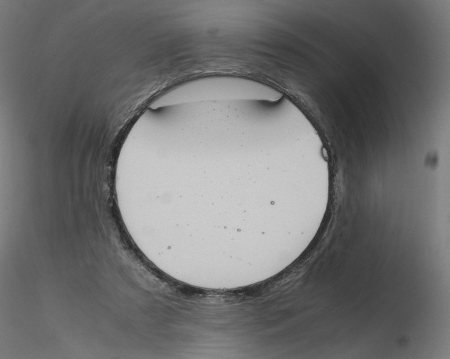 X0000116100305200912211617