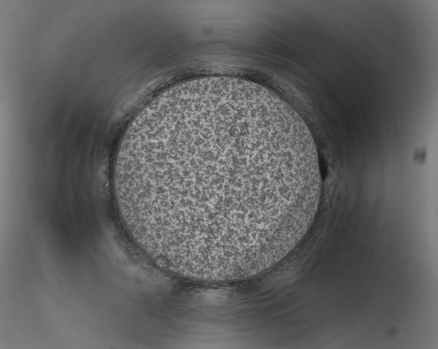 X0000116100306200912211617