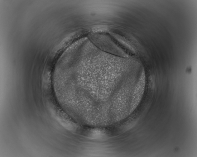 X0000116100308200912211617