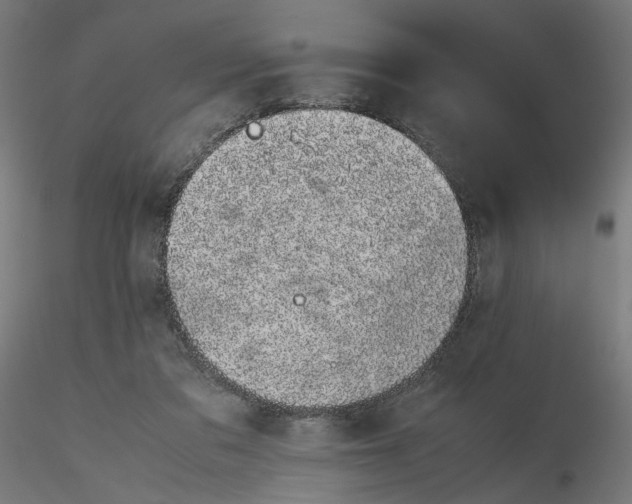 X0000116100309200912211617