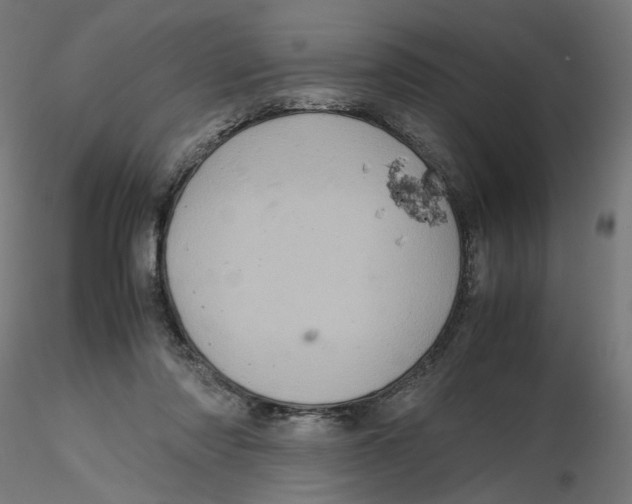 X0000116100310200912211617