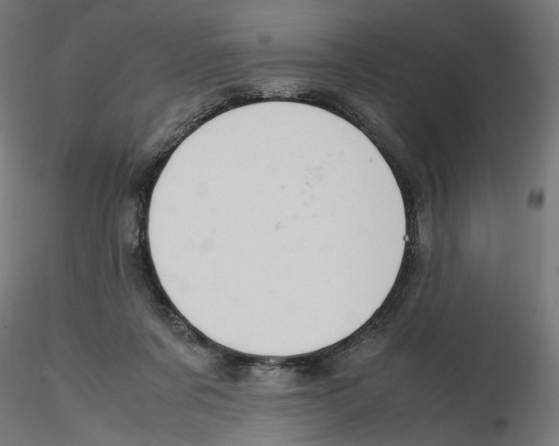 X0000116100311200912211617