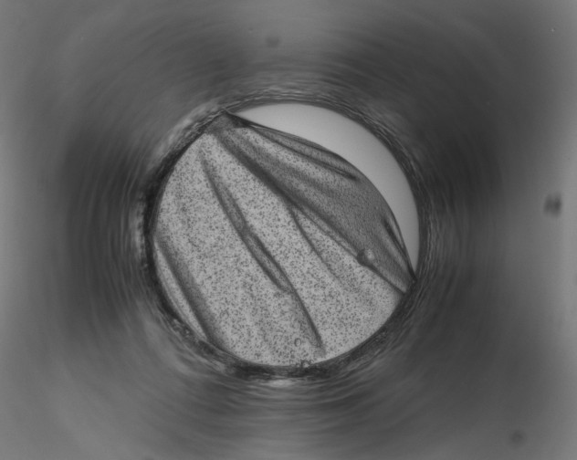 X0000116100312200912211617