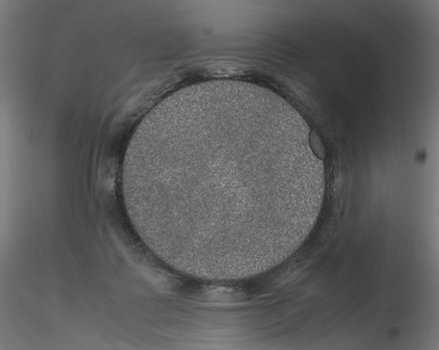 X0000116100315200912211617