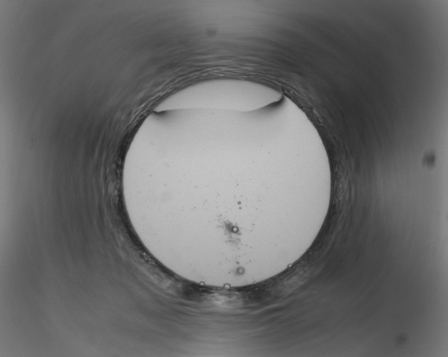 X0000116100317200912211617