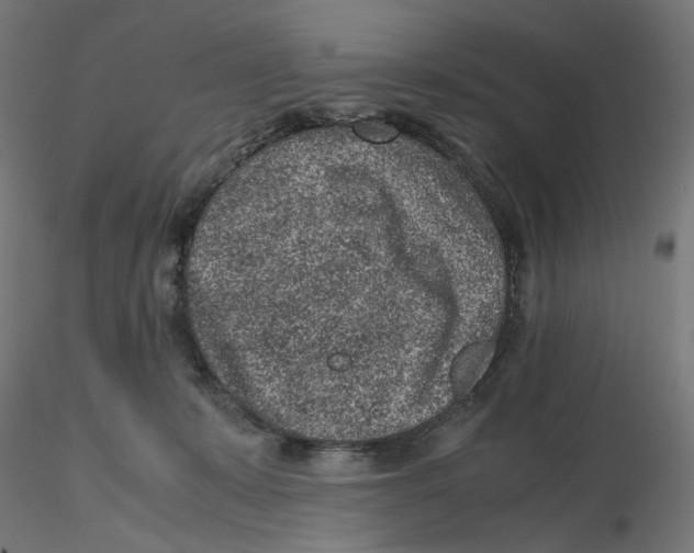 X0000116100319200912211617