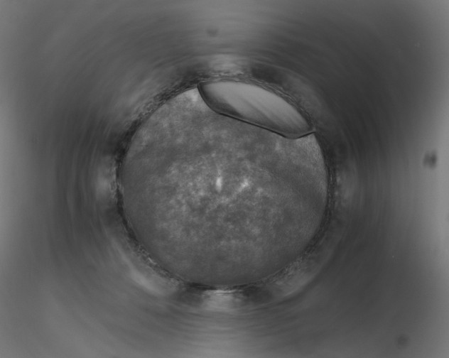 X0000116100320200912211617