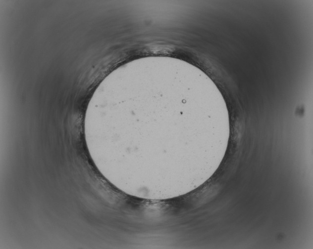 X0000116100321200912211617