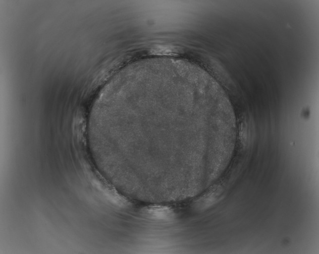 X0000116100322200912211617