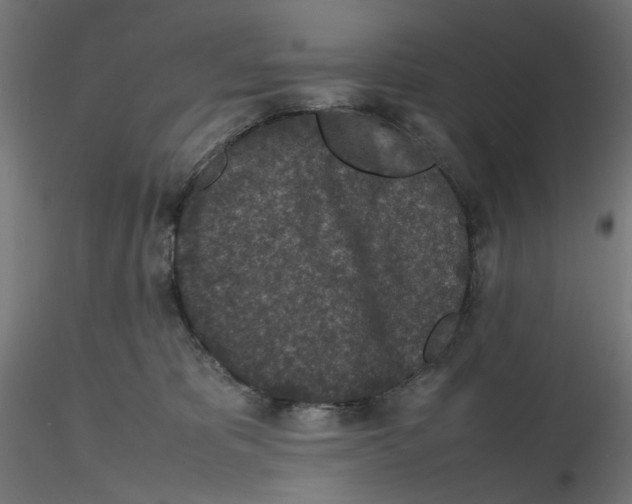 X0000116100325200912211617