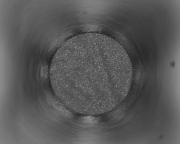 X0000116100326200912211617