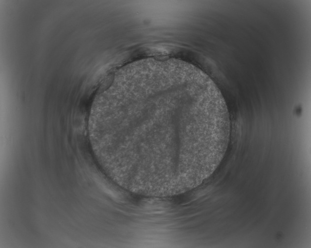 X0000116100331200912211616