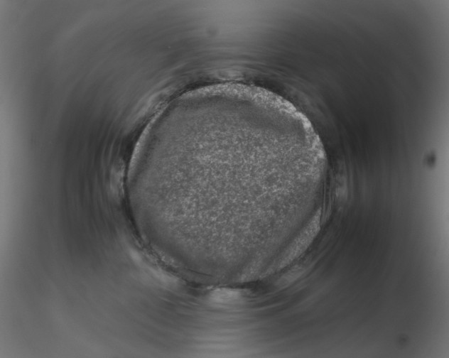 X0000116100332200912211616