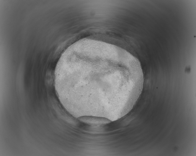 X0000116100335200912211616