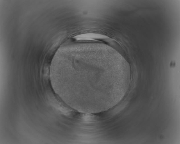 X0000116100336200912211616