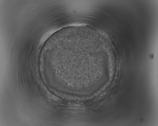 X0000116100337200912211616