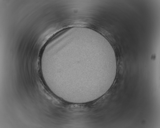 X0000116100338200912211616