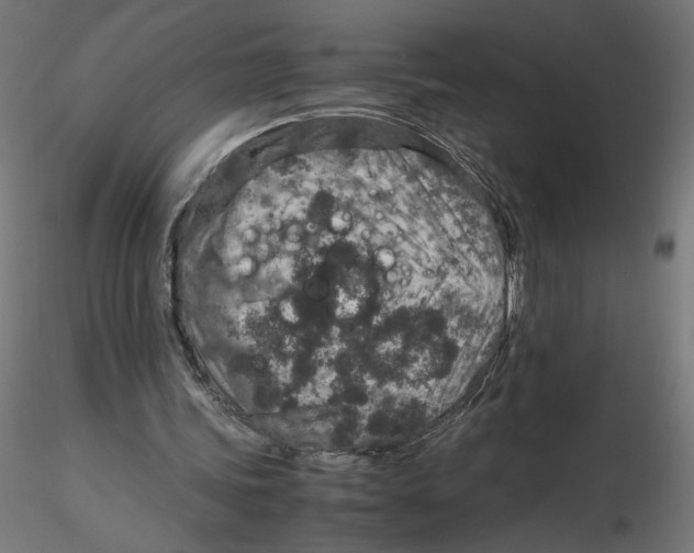 X0000116100339200912211616