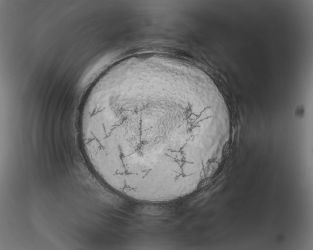 X0000116100341200912211616