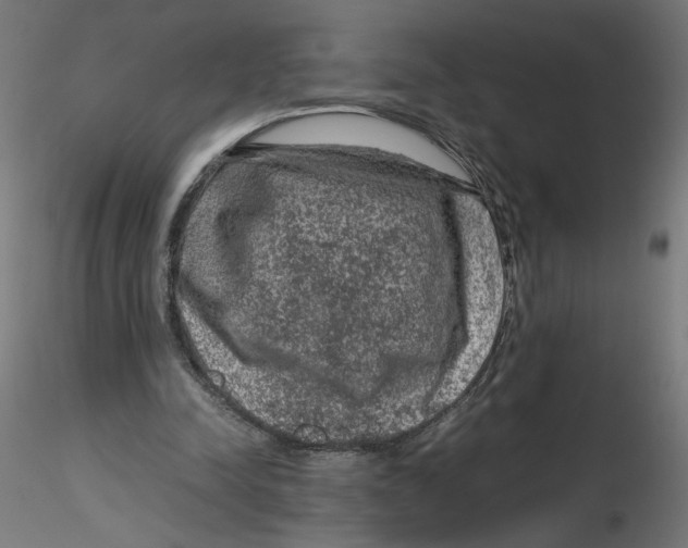 X0000116100342200912211616