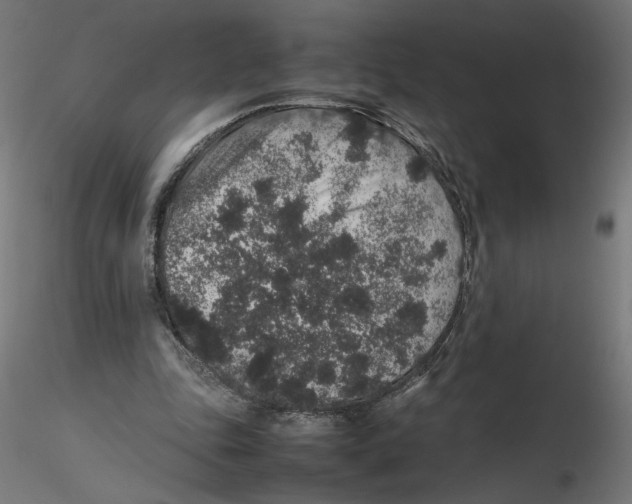 X0000116100343200912211616