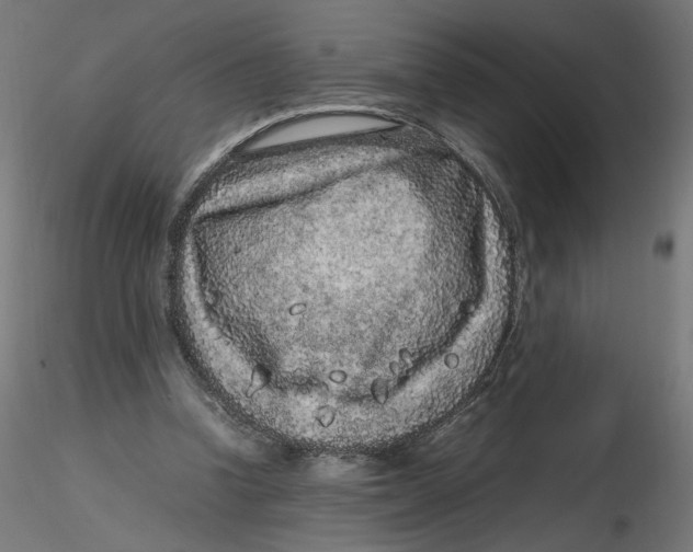 X0000116100346200912211616